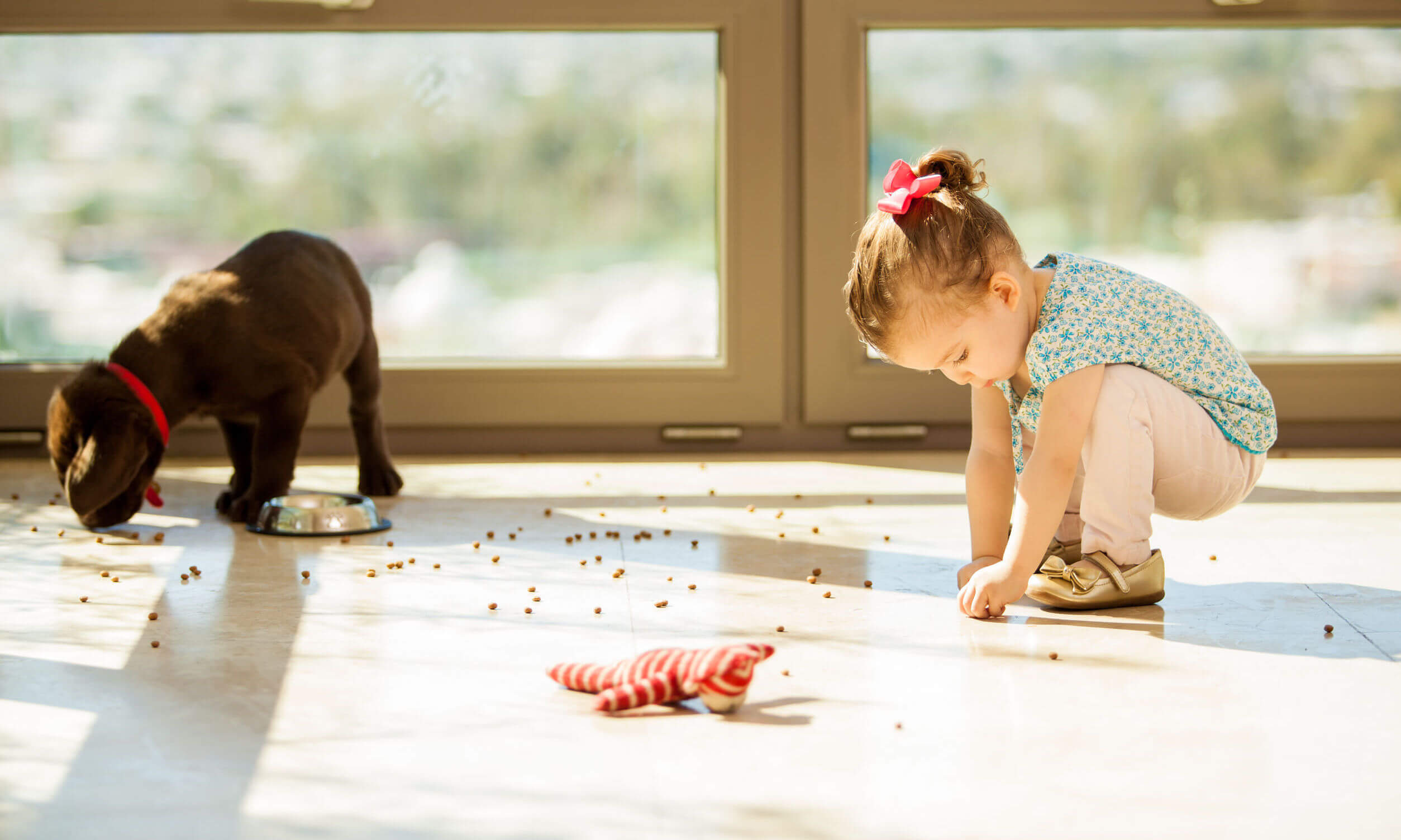 floor sanitization in st george ut child and dog on hard floor with spilled dog food